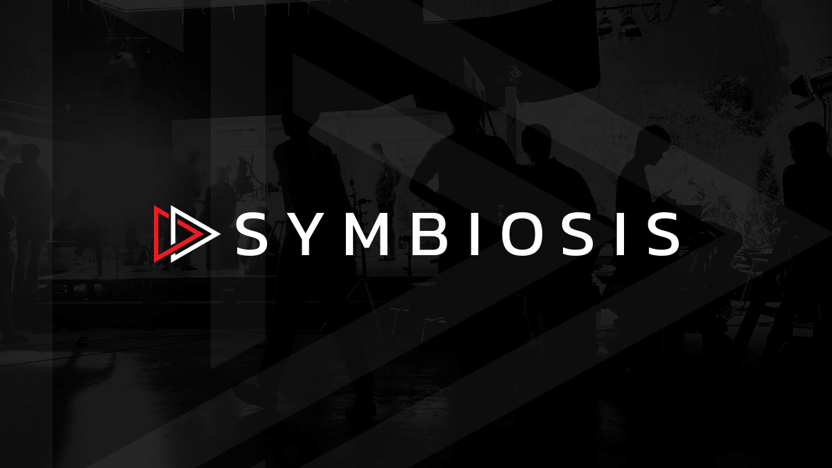 Video Scalers Decimator Design Symbiosis